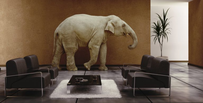 The Elephants in the Room: The GOP’s War on Consumer Protection