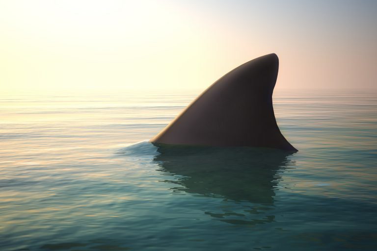 Why College Freshmen Are Chum for the Cyber Sharks