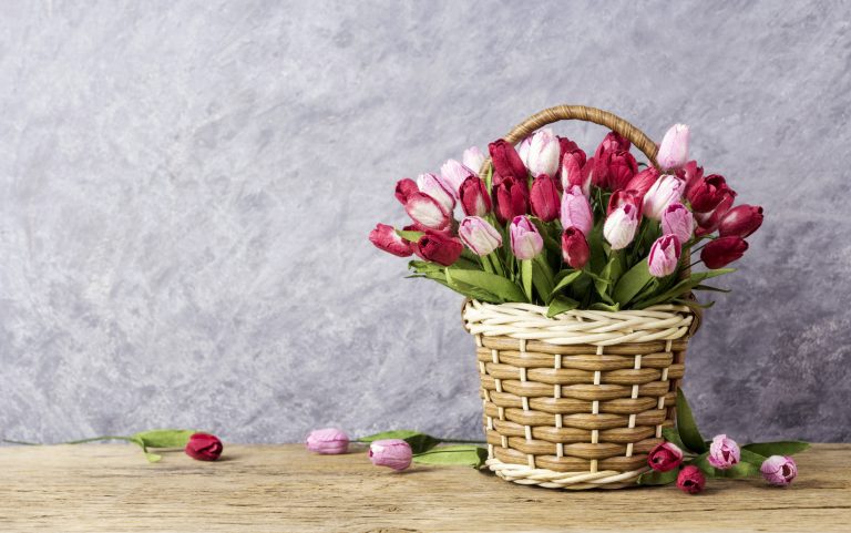 4 Mother’s Day Scams You Want to Avoid