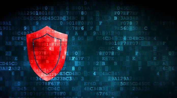 Keep it safe: How to shield your sensitive data and control access Shield your data