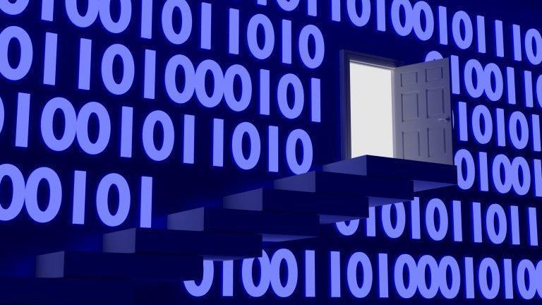 Top U.S. Voting Machine Company Admits to Backdoors in Products