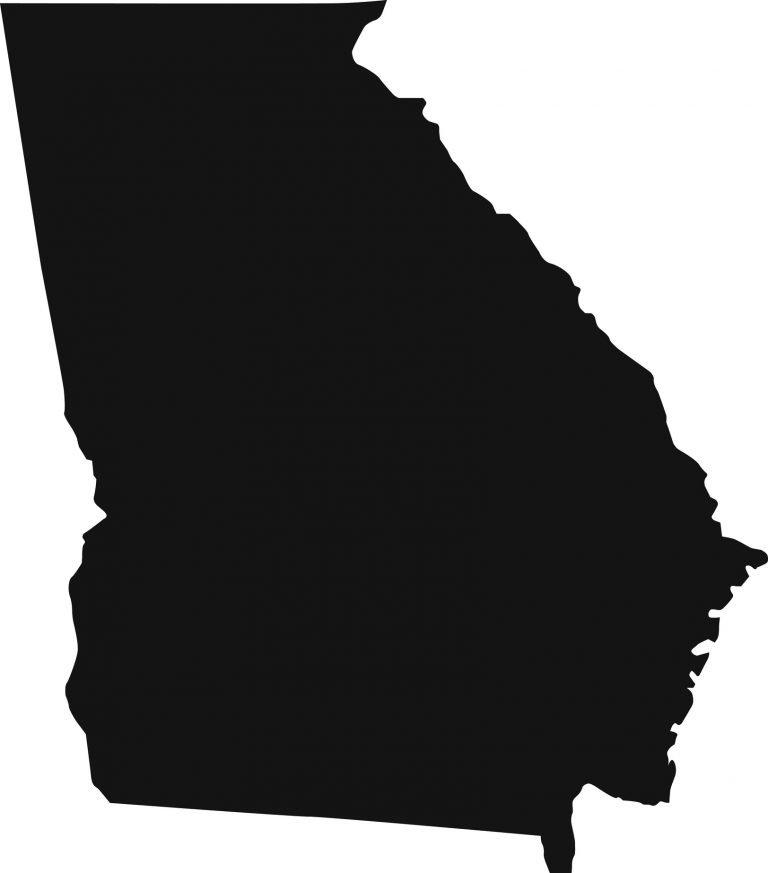 Georgia elections