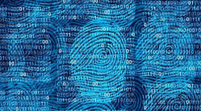 Major Hotel Group Leaks 1TB of Customer Data Gekko