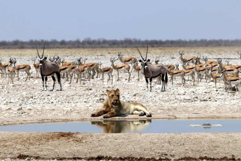 What Is a Watering Hole Attack?