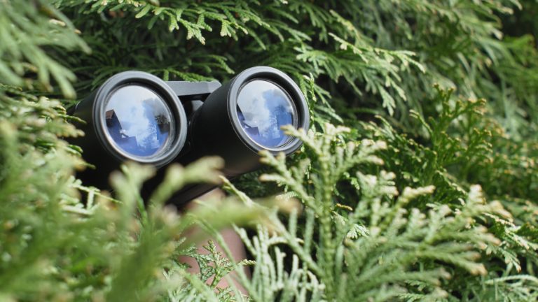 Reconnaissance Attacks: What are they?