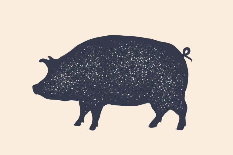 pig butchering