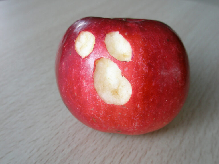 Apple 2023 security fails